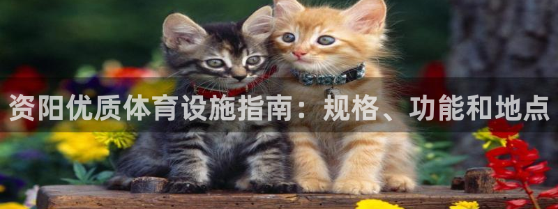 意昂体育3平台注册：资阳优质体育设施指南：规格、功能