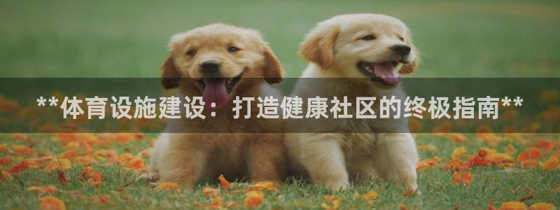 意昂体育3软件：**体育设施建设：打造健康社区的终极