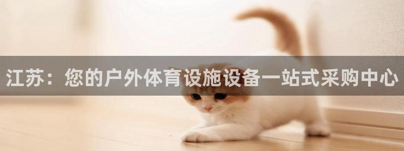 意昂体育3招商电话：江苏：您的户外体育设施设备一站式
