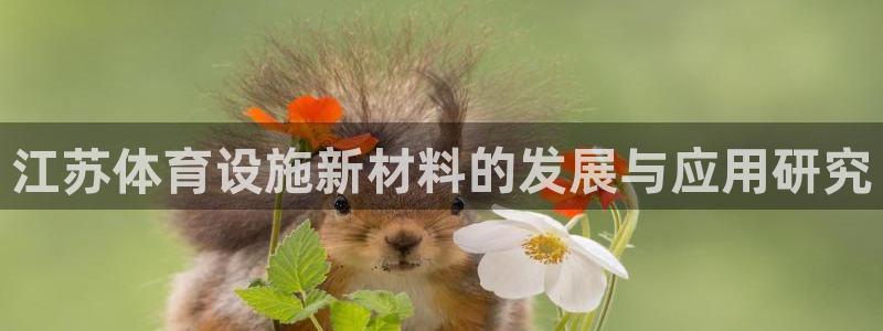意昂平台体育