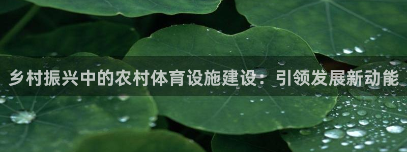 意昂体育3招商电话号码