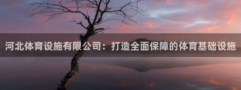 意昂3新能源