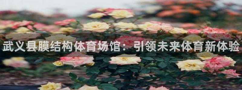 意昂体育3平台注册流程图：武义县膜结构体育场馆：引领未来体育