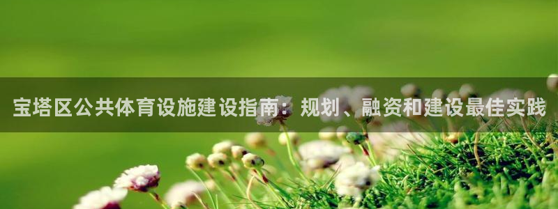 意昂3集团简介：宝塔区公共体育设施建设指南：规划、融资和建设 