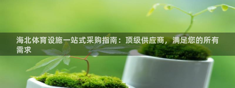 意昂体育3平台注册流程图：海北体育设施一站式采购指南：顶级供