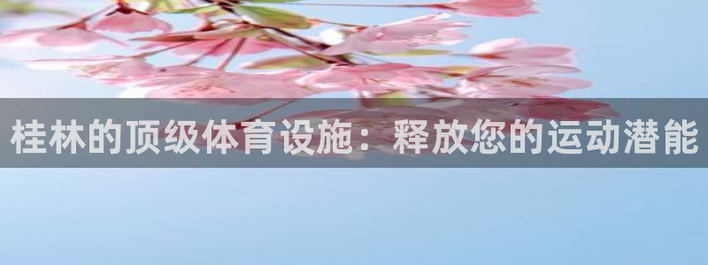 海南意昂体育3发展怎么样：桂林的顶级体育设施：释放您的运动潜 