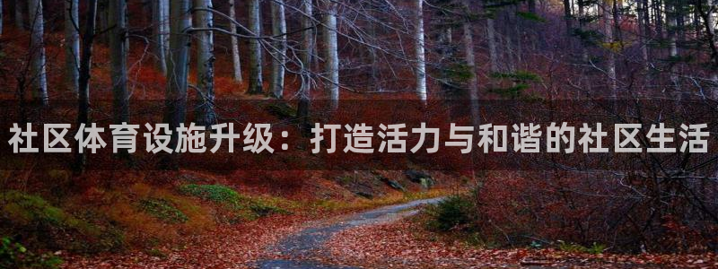 意昂体育3平台是正规平台吗安全吗