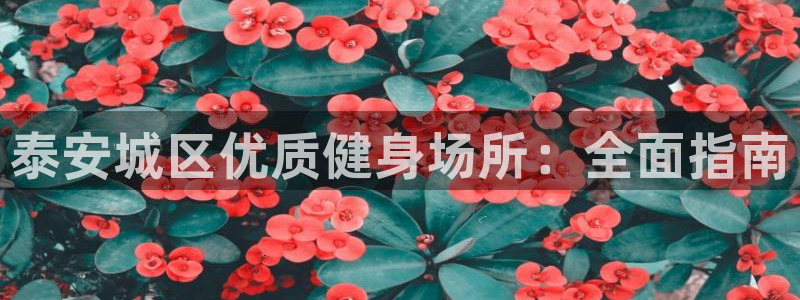 意昂体育3平台是正规平台吗安全吗：泰安城区优质健身场所：全面