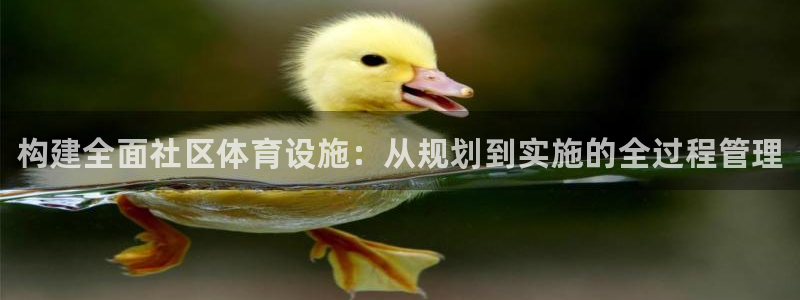 意昂体育3平台注册要钱吗：构建全面社区体育设施：从规划到实施