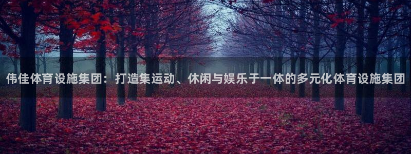 意昂3科技：伟佳体育设施集团：打造集运动、休闲与娱乐于一体的