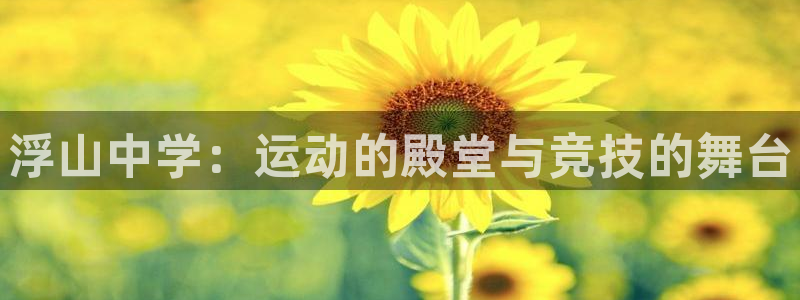 意昂3娱乐首页网站大全