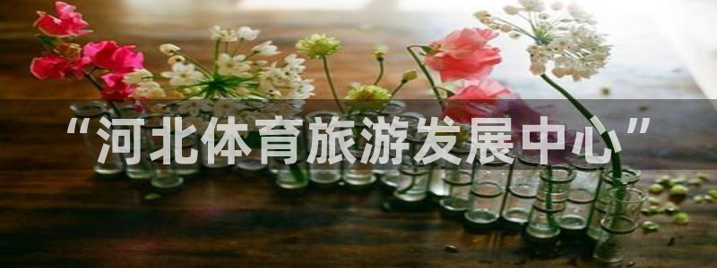 意昂体育3招商电话地址：“河北体育旅游发展中心” 