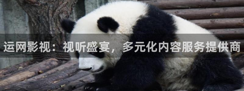 小小影视看：运网影视：视听盛宴，多元化内容服务提供商