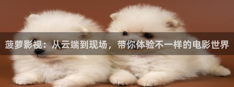 小小影视黄色