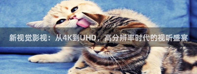 小小影视在线观看tv影院：新视觉影视：从4K到UHD，高分辨率时代的视听盛宴