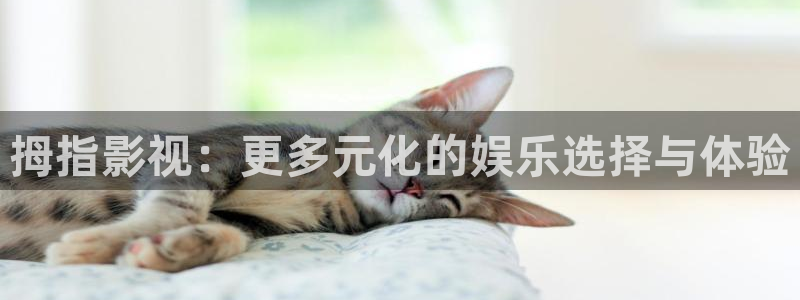 小小影视下载免费苹果