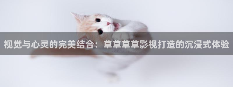 小小影视热门电视剧有哪些：视觉与心灵的完美结合：草草草草影视打造的沉浸式体验