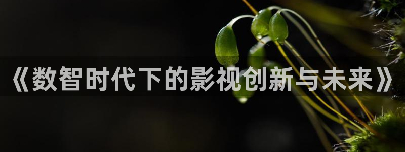 小小影视手机版