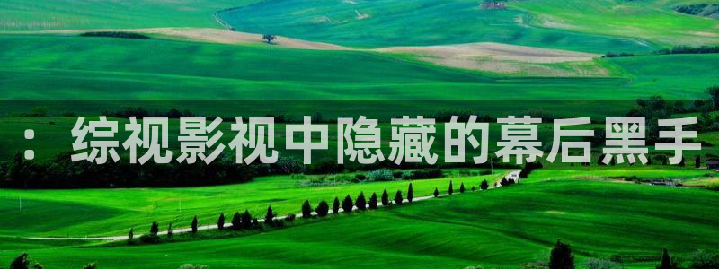 小小影视网电影大全：：综视影视中隐藏的幕后黑手