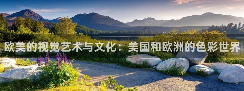 小小影视入口